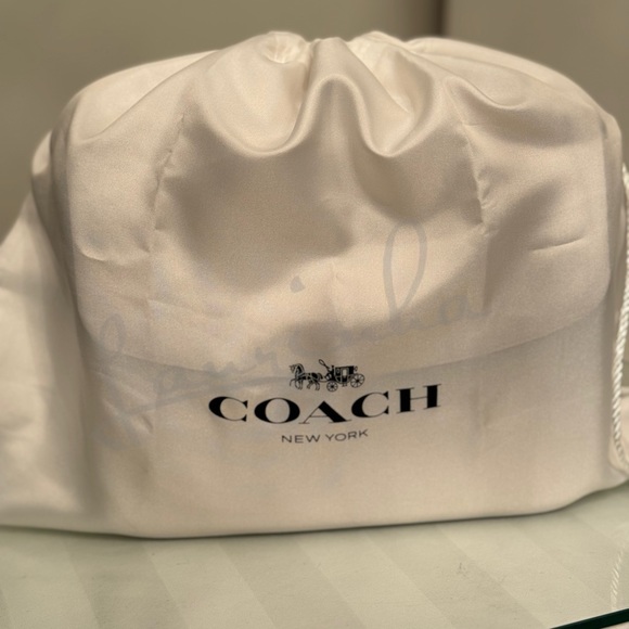 NWOT Coach Cassie 19 Crossbody bag! - Picture 3 of 12